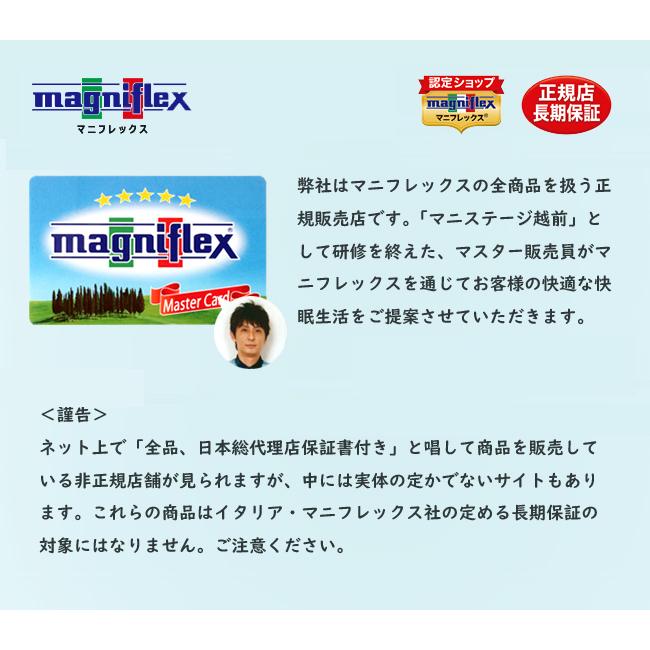 マニフレックス ヴィロブロック マットレス D ダブル マットレス viroblock ウイルス除去 抗ウイルス加工 ハイキュの画像