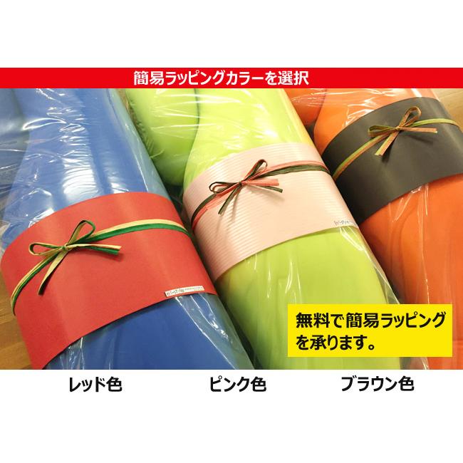 【即納】王様の抱き枕 カバー付き ホット ピロー 安眠 枕 抱きまくら ビーズ ギフト 簡易ラッピング MOGU好きにも 肩こり 腰痛 妊婦 母の日の画像