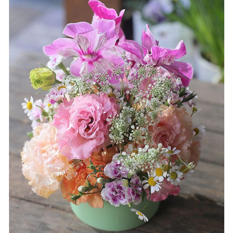 フラワーアレンジメントC アレンジメントフラワー 生花 ギフト 3Lサイズ イメージ(可愛