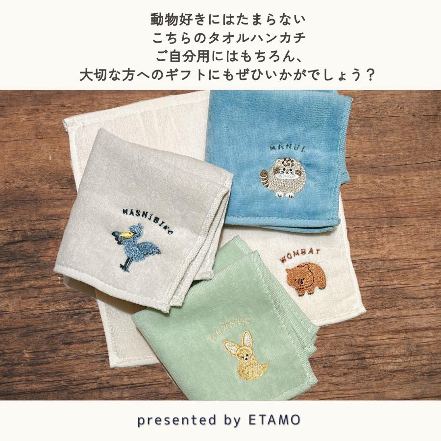 レアアニマル タオルハンカチ キーウィ マヌルネコ 動物園 グッズ お
