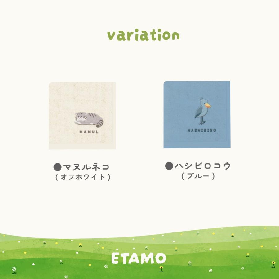 レアアニマル タオルハンカチ キーウィ マヌルネコ 動物園 グッズ お