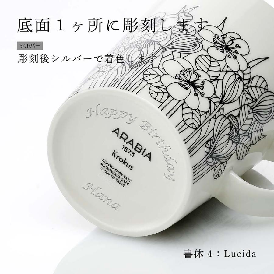 ARABIA クロッカス マグ・プレート 未使用 ARABIA（アラビア） クロッカス マグカップ プレート ブラック