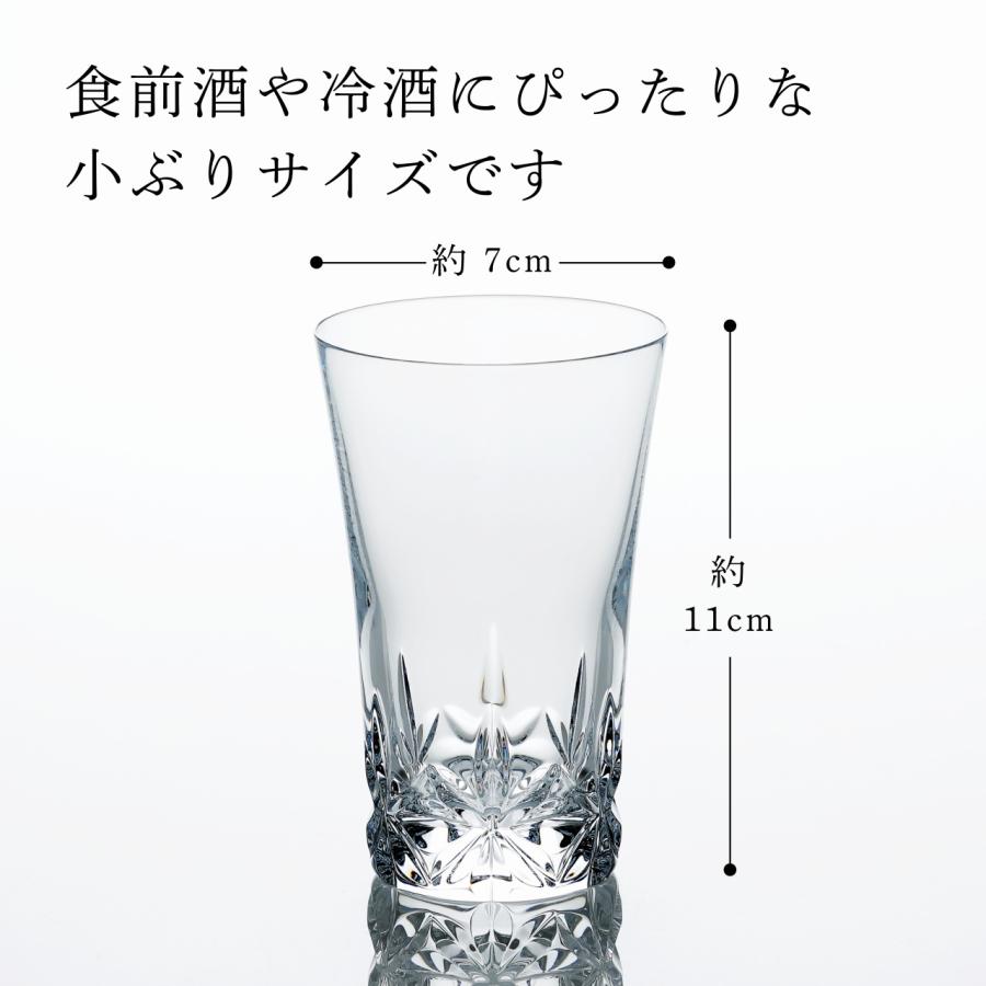 バカラ（Baccarat） 2023年 グラスジャパン エクラ 名入れ彫刻代込み