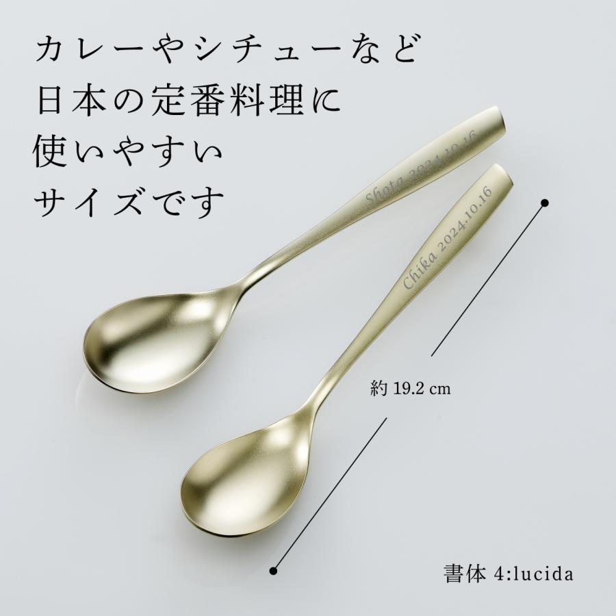 ブガッティ リビエラ ブシャンパン PVD デザートスプーン 19.2cm ペアセット 名前 プレゼント ギフト ブランド チタンコート マットブラック 黒 |  | 02