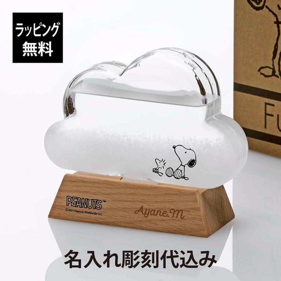 【ラッピング無料】【名入れ代込み】SNOOPY スヌーピー ガラス ストームグラス クラウド 名前 名入れ 彫刻 刻印 名入れギフト プレゼント 誕生日 記念日 | 