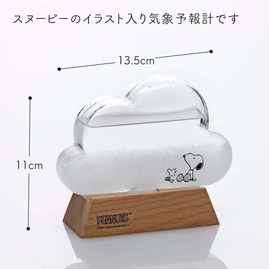 【ラッピング無料】【名入れ代込み】SNOOPY スヌーピー ガラス ストームグラス クラウド 名前 名入れ 彫刻 刻印 名入れギフト プレゼント 誕生日 記念日 |  | 03