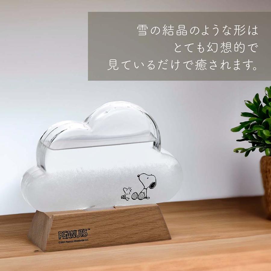 【ラッピング無料】【名入れ代込み】SNOOPY スヌーピー ガラス ストームグラス クラウド 名前 名入れ 彫刻 刻印 名入れギフト プレゼント 誕生日 記念日 |  | 05