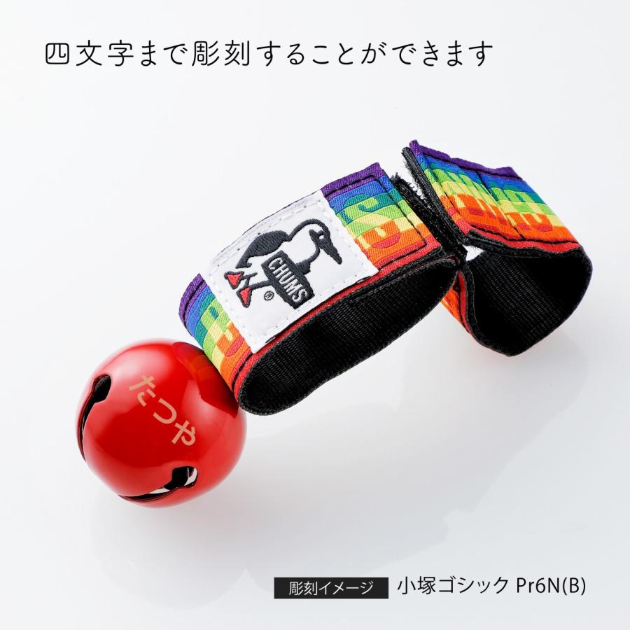 CHUMS（チャムス） ベアベル Rainbow レッド 名入れ彫刻代込 刻印 名