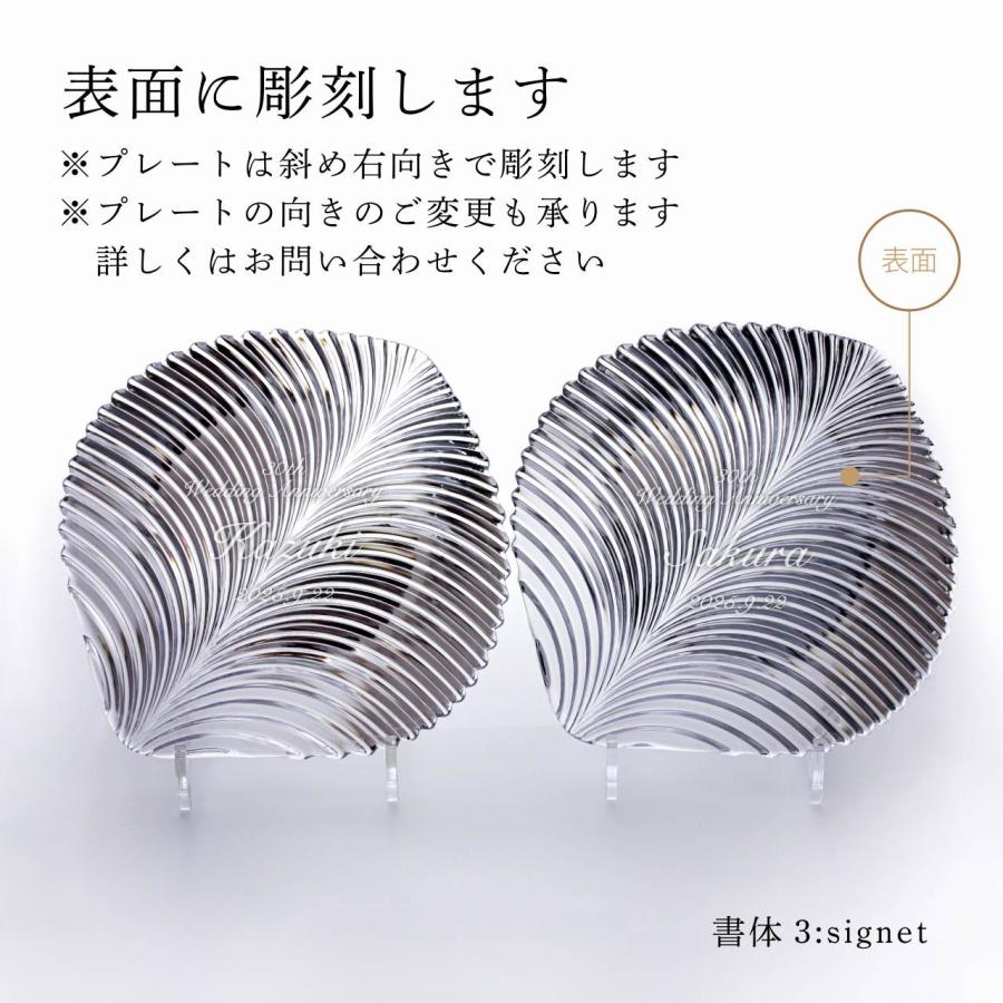 Nachtmann ナハトマン ジャポネスク 葉 / Happa プレート 23cm ペア 名