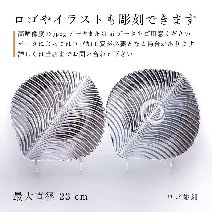 Nachtmann ナハトマン ジャポネスク 葉 / Happa プレート 23cm ペア 名