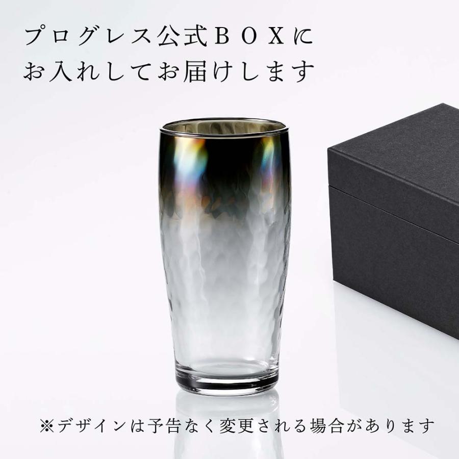 PROGRESS プログレス Ripple Infinite ビアグラス 360ml 名入れ彫刻代込み 父の日 還暦祝い 敬老の日 退職祝い 高級 ブランド 正規品 オーロラ 焼酎 チタン加工 |  | 04