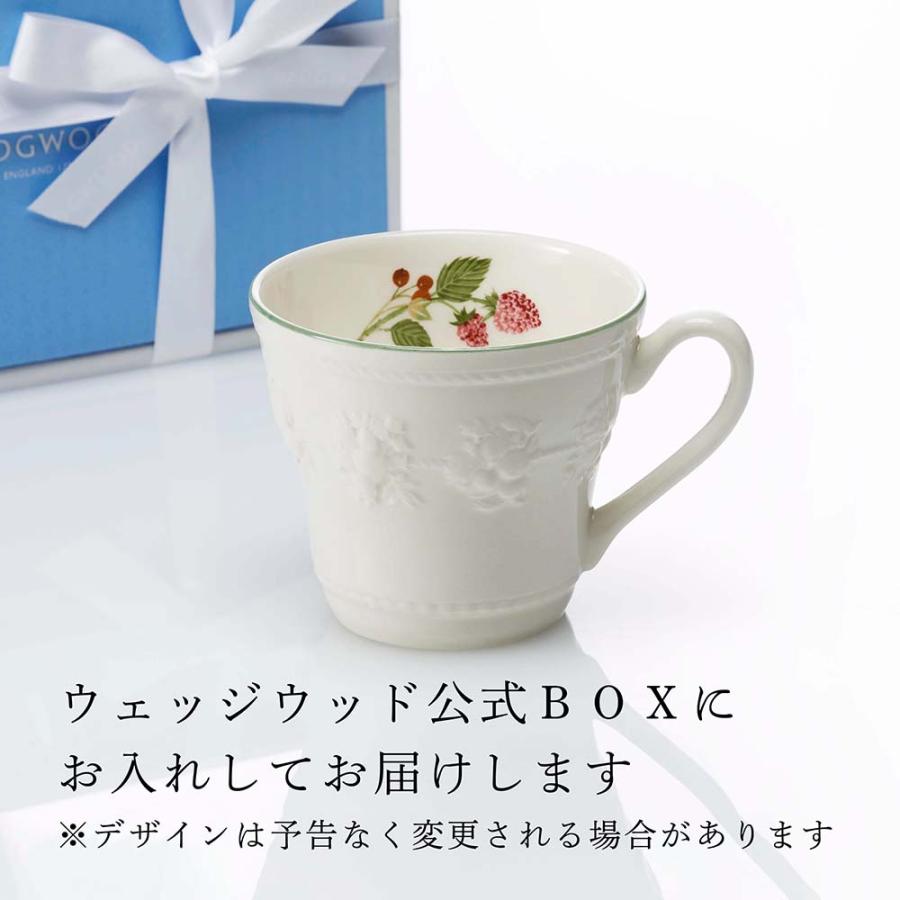 WEDGWOOD（ウェッジウッド） フェスティビティ ラズベリー マグ 名入れ