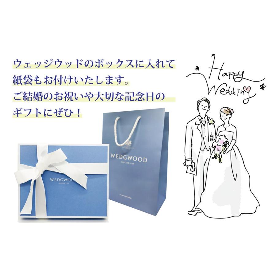 ウェッジウッド WEDGWOOD フェスティビティ ラズベリー プレート 27cm ペア 名入れ代込み 正規品 結婚祝 記念日 名前 刻印 名入れ ギフト プレゼントの画像
