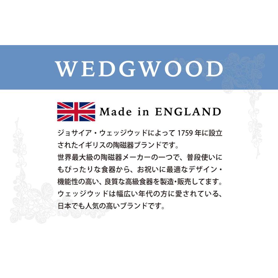 名入れ代込み 正規店ラッピング無料 WEDGWOOD ウェッジウッドジオ ロングトレイ 21cm 名前 彫刻 刻印 結婚記念日 お祝い プレゼントの画像
