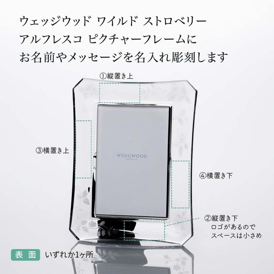 ウェッジウッド ワイルド ストロベリー アルフレスコ ピクチ