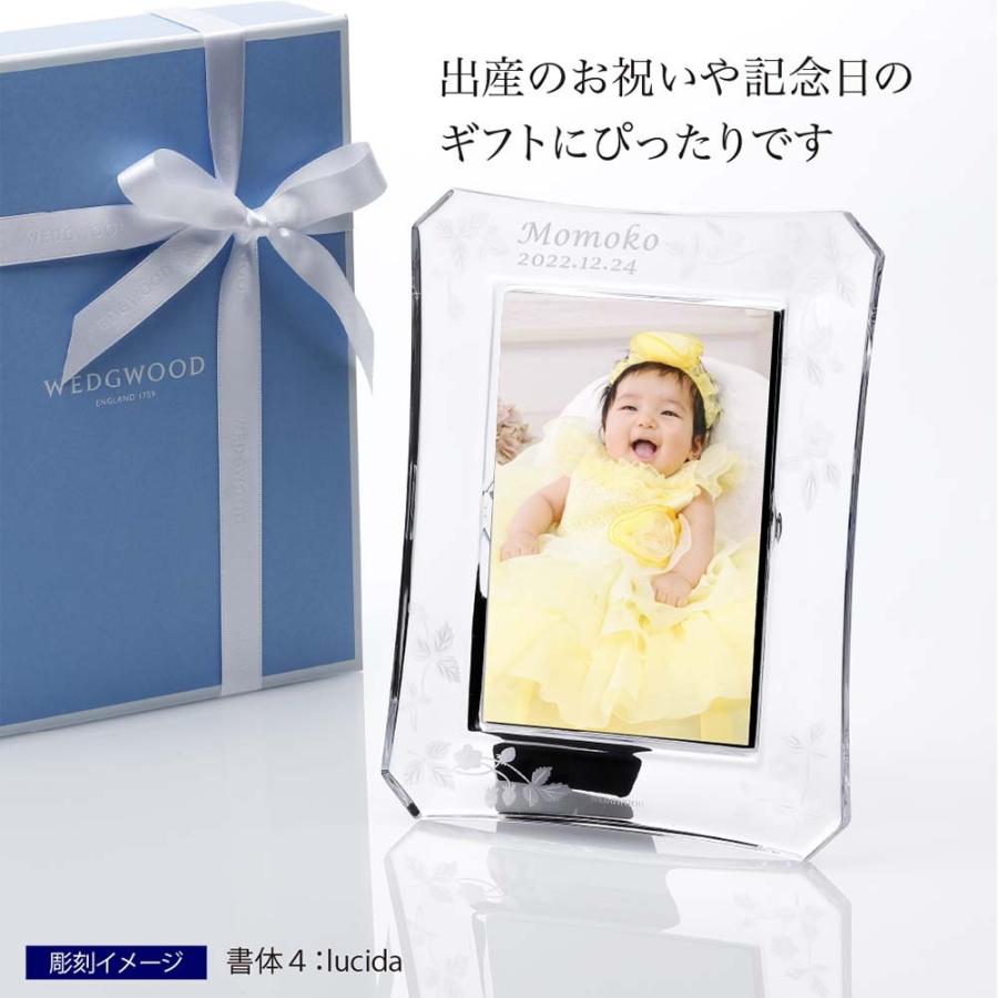 ウェッジウッド ワイルド ストロベリー アルフレスコ ピクチ