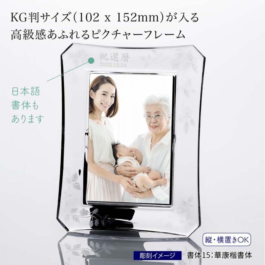 ウェッジウッド ワイルド ストロベリー アルフレスコ ピクチ