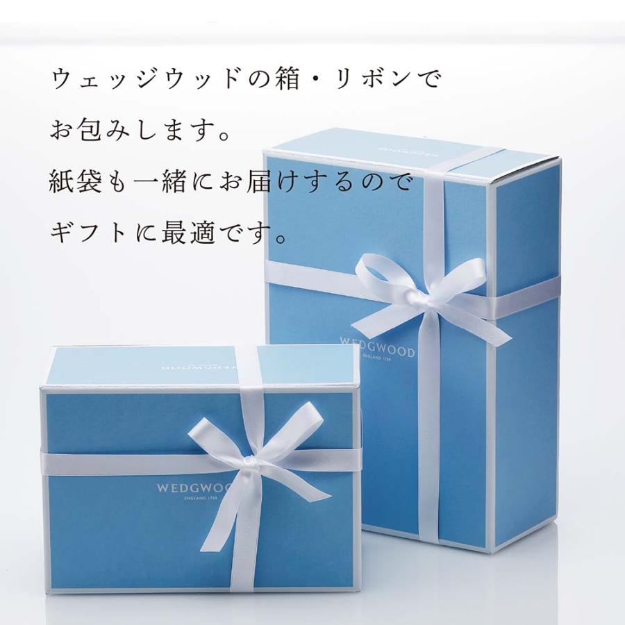 WEDGWOOD（ウェッジウッド） ジャスパー ペール ブルー マントル