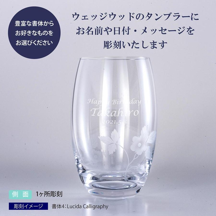 WEDGWOOD（ウェッジウッド） ワイルド ストロベリー アルフレスコ