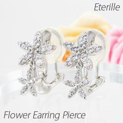 ビカクシダ キッチャクード ' Thin ' コルク付け2 ビカクシダ