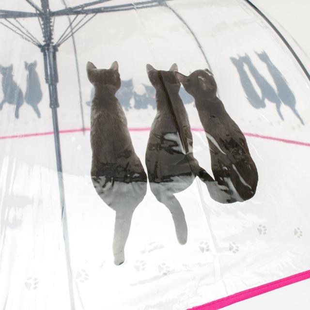 婦人長傘 ワンタッチ レディース ビニール 猫柄プリント 耐水性バッチリ おしゃれ 通勤通学 普段使いに 大判深張りで形が綺麗で濡れにくい ブラックキャッツ |  | 04