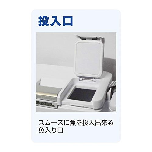 シマノ(SHIMANO) クーラーボックス 小型 9L フィクセル ベイシス 90UF-009N 釣り用 ピュアホワイト 