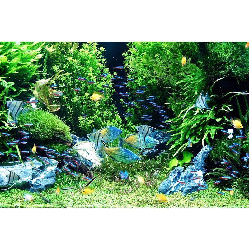 517円 専門店では 水草 人工 5本セット メダカ ベタ 金魚 テトラ 熱帯魚 アクアリウム 水槽 水草b