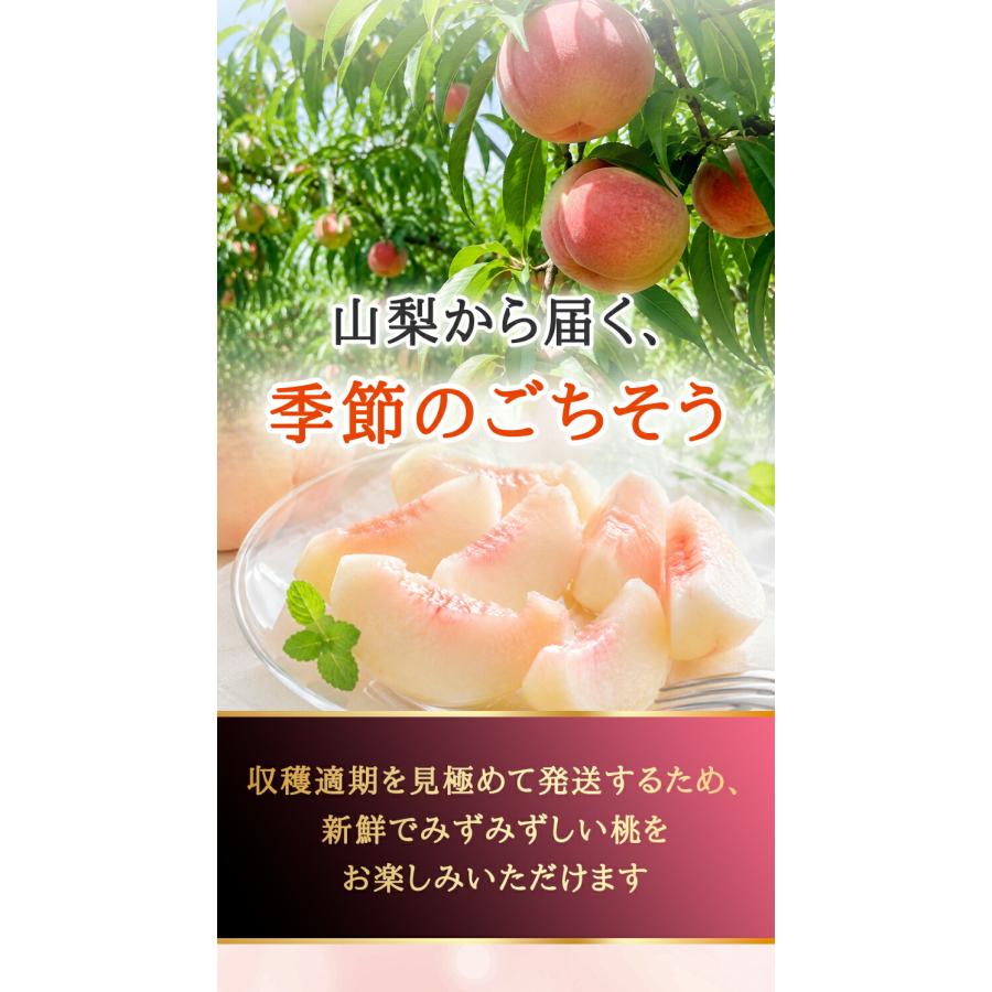 桃 山梨県産 秀品 11個 3.5kg~4kg 白鳳 白桃 なつっこ 夢しずく ゆめ