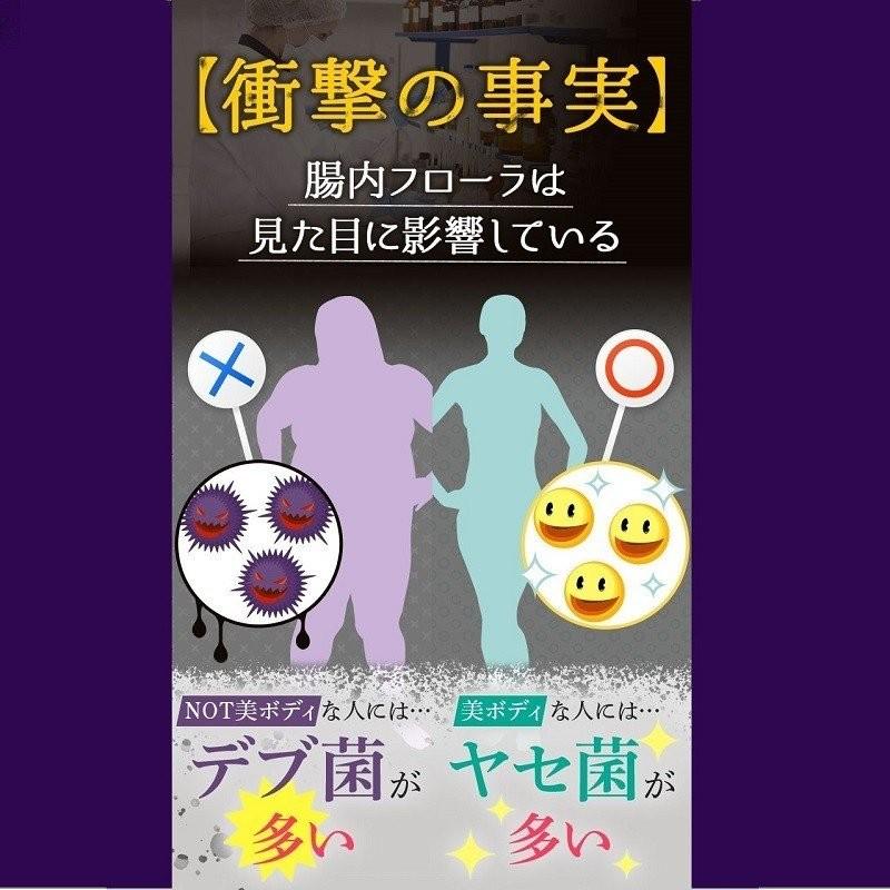 送料無料 フロルフロラ Flor Furora フロル フロラ ダイエットサプリ S エターナルシー 通販 Yahoo ショッピング