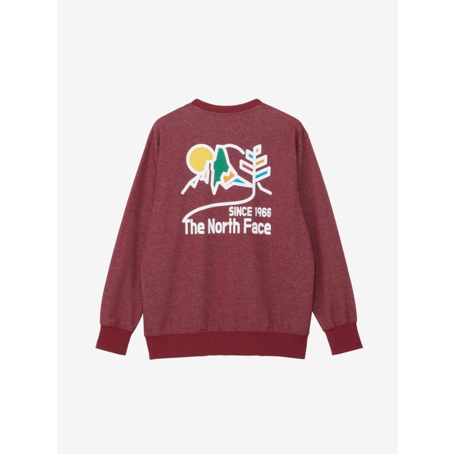 THE NORTH FACE（ザ ノースフェイス） ノースフェイス GRAPHIC SWEAT