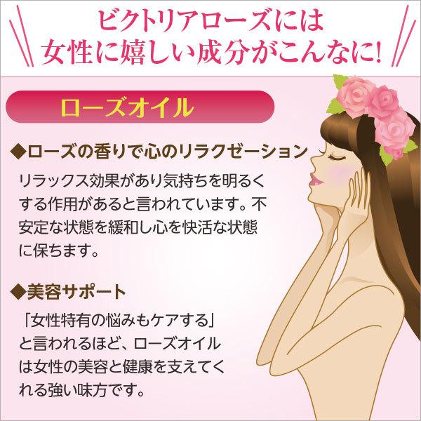 JAPAN GALS（ジャパンギャルズ） パッケージ汚れ訳ありアウトレット68