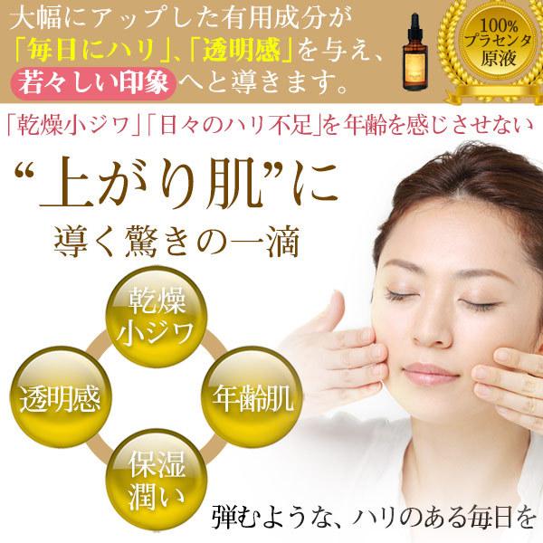 JAPAN GALS プラセンタ美容液 エテルノ 33mL+ハイクオリティ JAPAN GALS プラセンタ美容液 エテルノ 33mL+ハイクオリティ