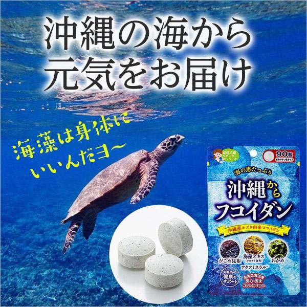 JAPAN GALS（ジャパンギャルズ） 沖縄からフコイダン 90粒 30日分×3袋