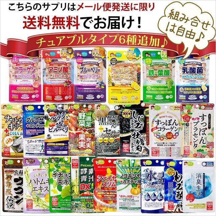 JAPAN GALS（ジャパンギャルズ） はじめる乳酸菌 90粒 約1ヶ月分