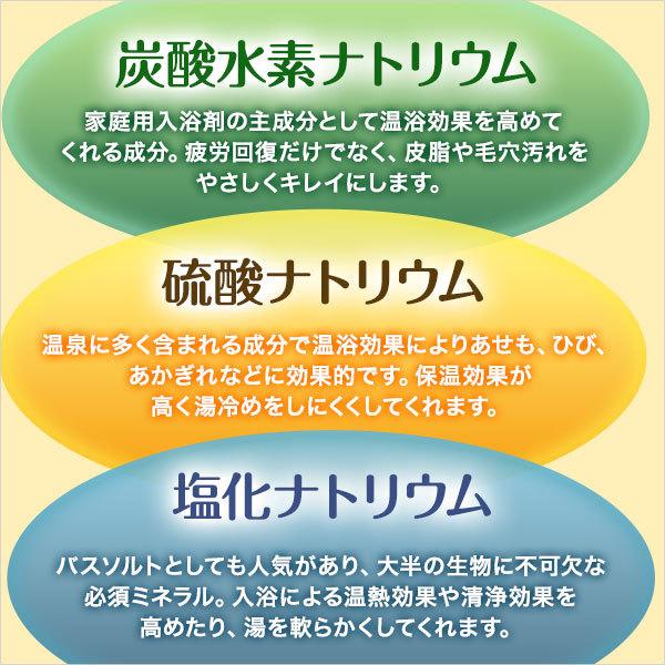 入浴剤 薬用 酵素 美人の泉 なめらかの湯 トリプル酵素 温活 グッズ パパイン酵素 30包/エテルノ/美肌/肩こり/腰痛/温泉 温浴｜eterno-beauty｜08