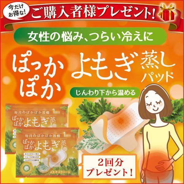 よもぎ蒸しパッド 2枚付 入浴剤 保湿 酵素 薬用 温活 グッズ パパイン酵素 美人の泉 うるおい お試し 7包 送料250円 美肌 肩こり 腰痛 エテルノビューティー Paypayモール店 通販 Paypayモール