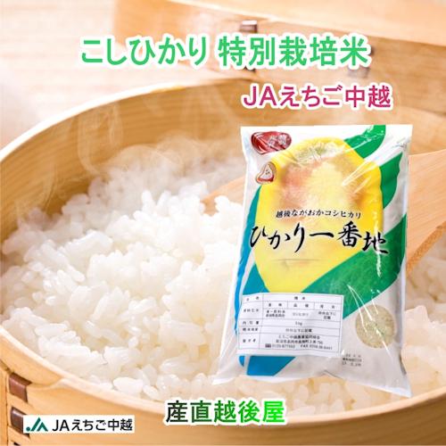 令和7年産コシヒカリ10キロ 岡萬 令和7年産 コシヒカリ 10kg (5kg×2袋) 岡山県産 米 お米 送料無料