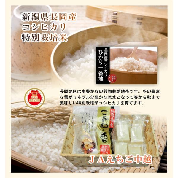 コシヒカリ 令和6年産 5kg 特A地区 特別栽培米 新潟産 JAえ コシヒカリ 令和6年産 5kg 特A地区 特別栽培米 新潟産 JAえ