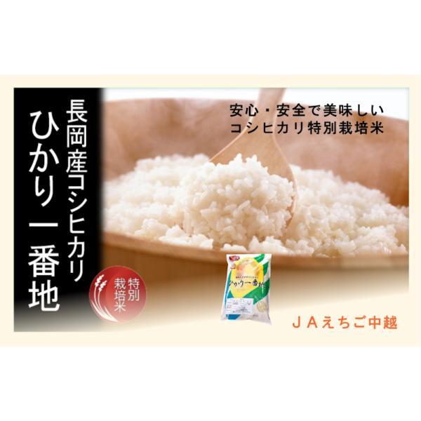 コシヒカリ 令和6年産 5kg 特A地区 特別栽培米 新潟産 JAえ コシヒカリ 令和6年産 5kg 特A地区 特別栽培米 新潟産 JAえ
