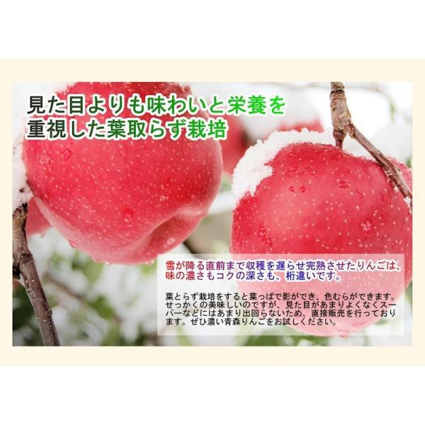 青森県弘前市 赤石りんご園まるごと絞った100％りんごジュース完熟