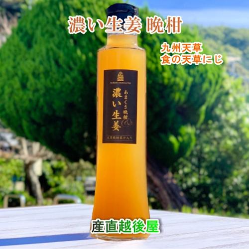 熊本県 天草市 食の天草にじあまくさ晩柑＆濃い生姜 5倍希釈 3本天草産