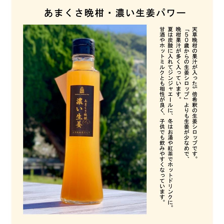 熊本県 天草市 食の天草にじあまくさ晩柑＆濃い生姜 5倍希釈 3本天草産