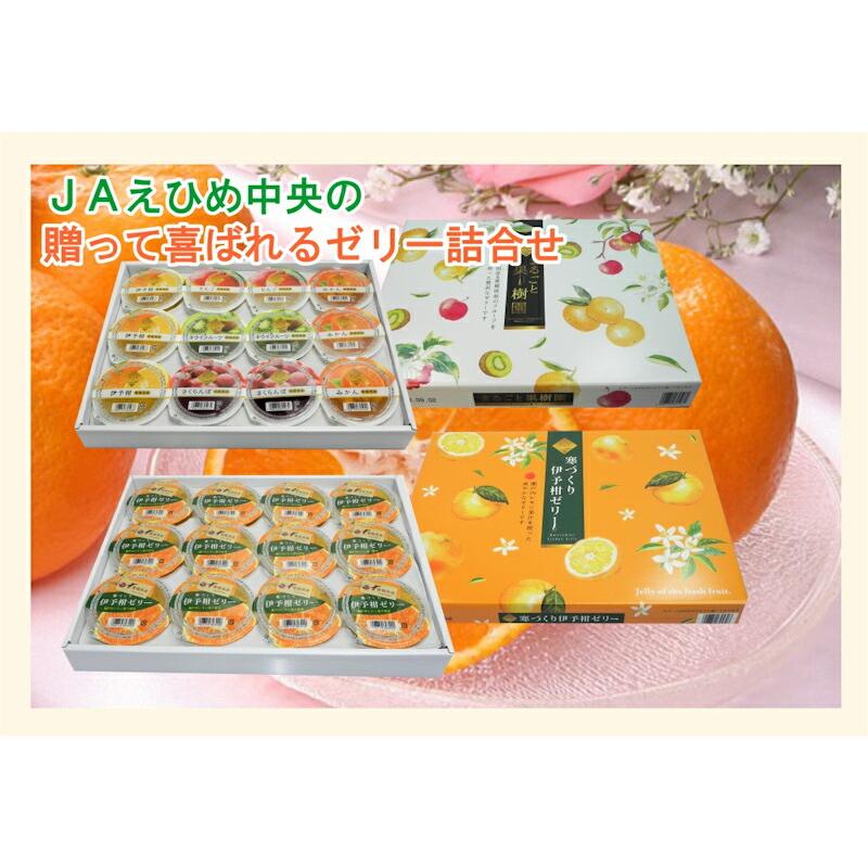 愛媛県の農協 JAえひめ中央 まるごと果実園詰合せ フルーツゼリー