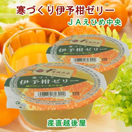 愛媛県の農協 JAえひめ中央 愛媛の果実 伊予柑カップゼリー 寒 愛媛県の農協 JAえひめ中央 愛媛の果実 伊予柑カップゼリー 寒