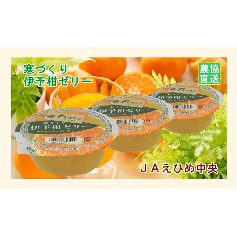 愛媛県の農協 JAえひめ中央 愛媛の果実 伊予柑カップゼリー 155g 30個