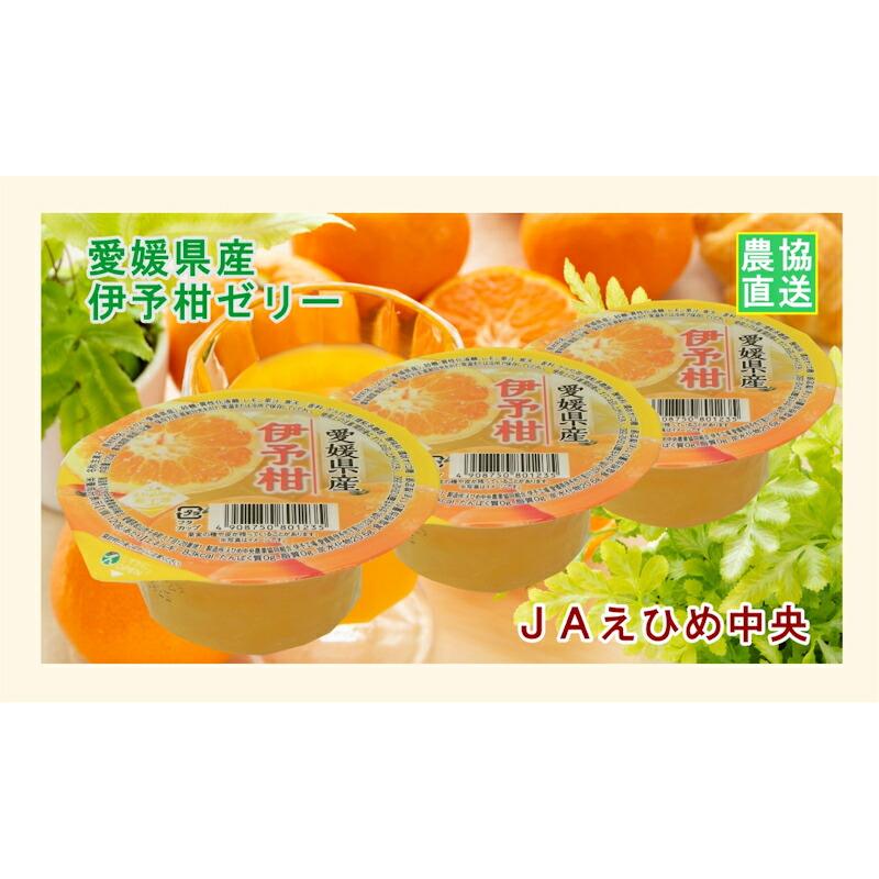 愛媛県の農協 JAえひめ中央 愛媛の果実 伊予柑カップゼリー 120g 30個