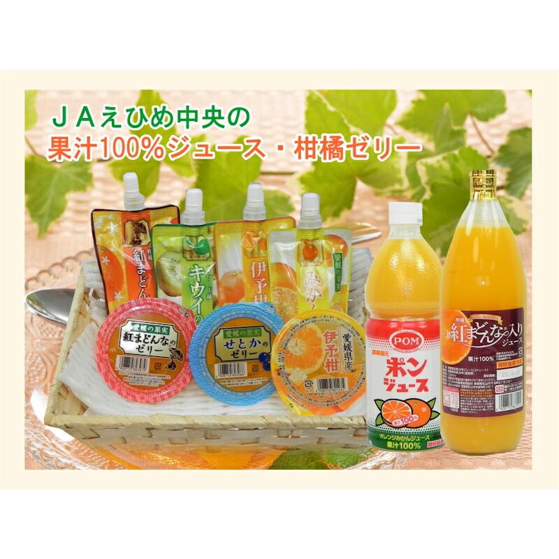 愛媛県の農協 JAえひめ中央 愛媛の果実 伊予柑カップゼリー 伊予柑