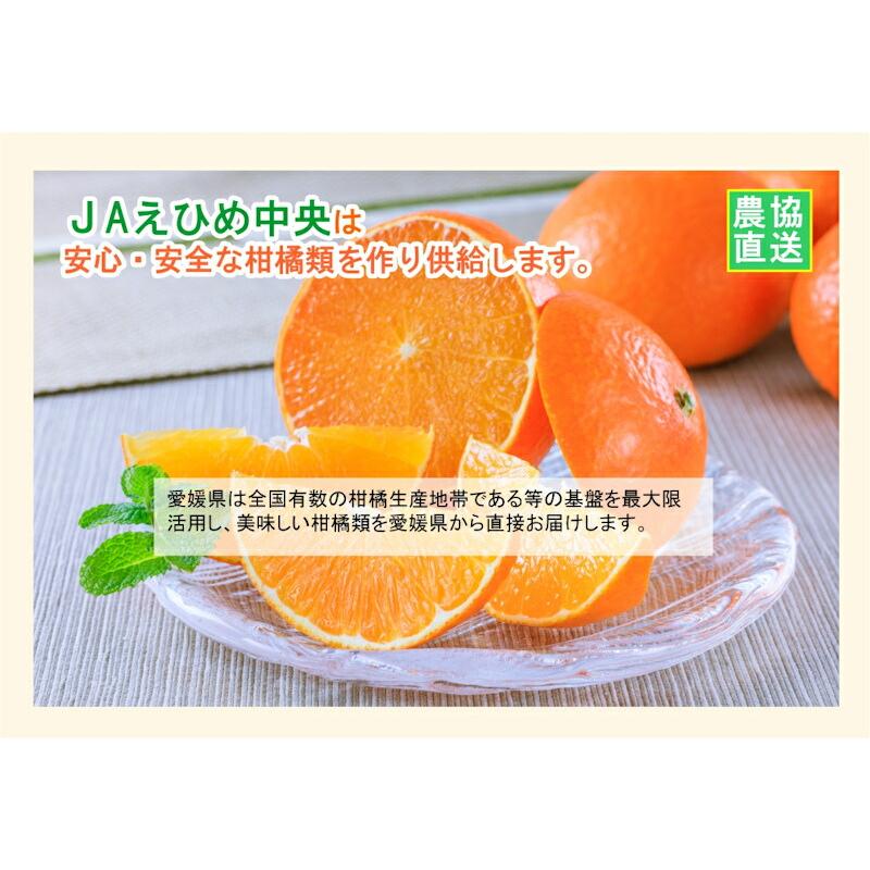 愛媛県の農協 JAえひめ中央 愛媛の果実 飲む紅プリンセスのゼリー 150g