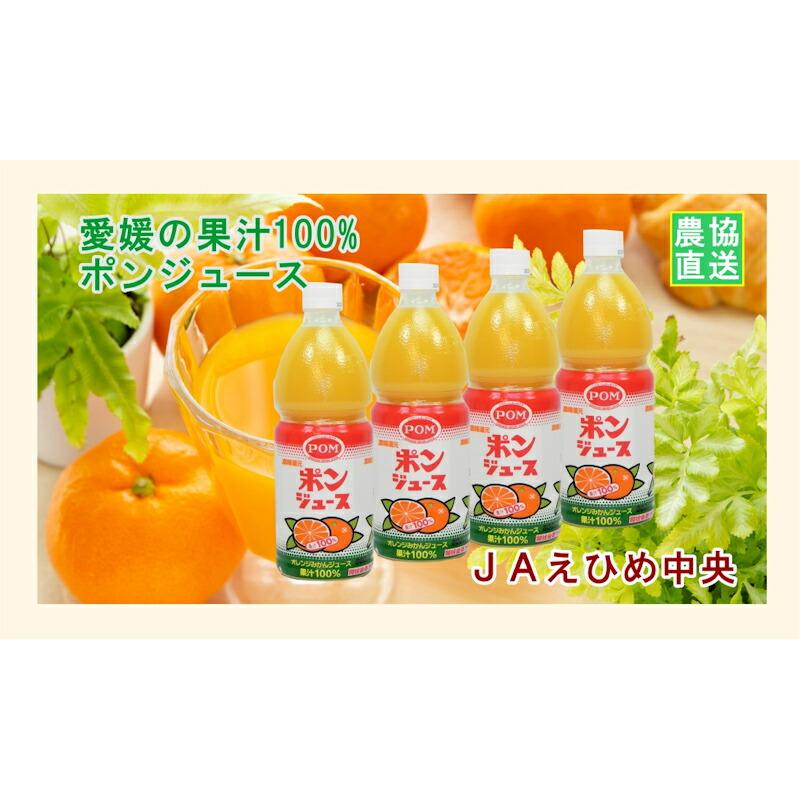愛媛県の農協 JAえひめ中央 果汁100％ オレンジみかんジュース ポン