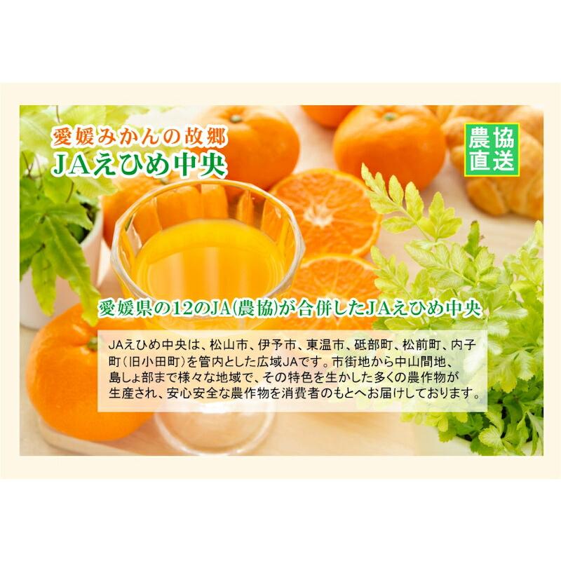 愛媛県の農協 JAえひめ中央 果汁100％ オレンジみかんジュース ポン